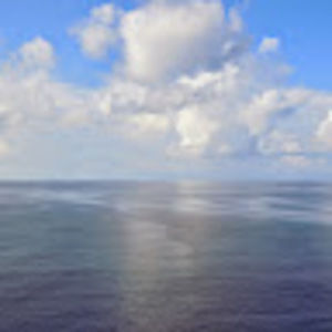 Meet your Posher, Mj